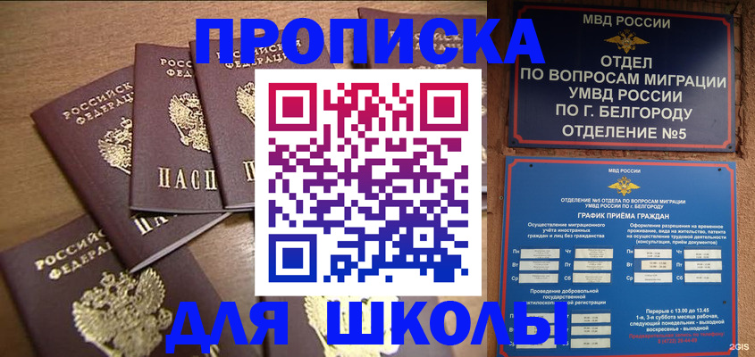 прописка гарантия в Бийске